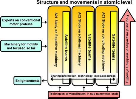 Overview diagram in Figure 2 area