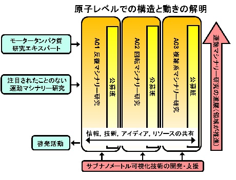 領域概観図