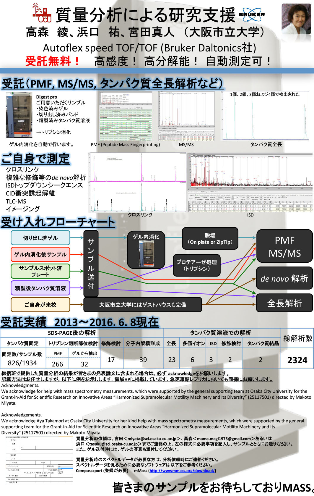 タンパク質の質量分析による解析