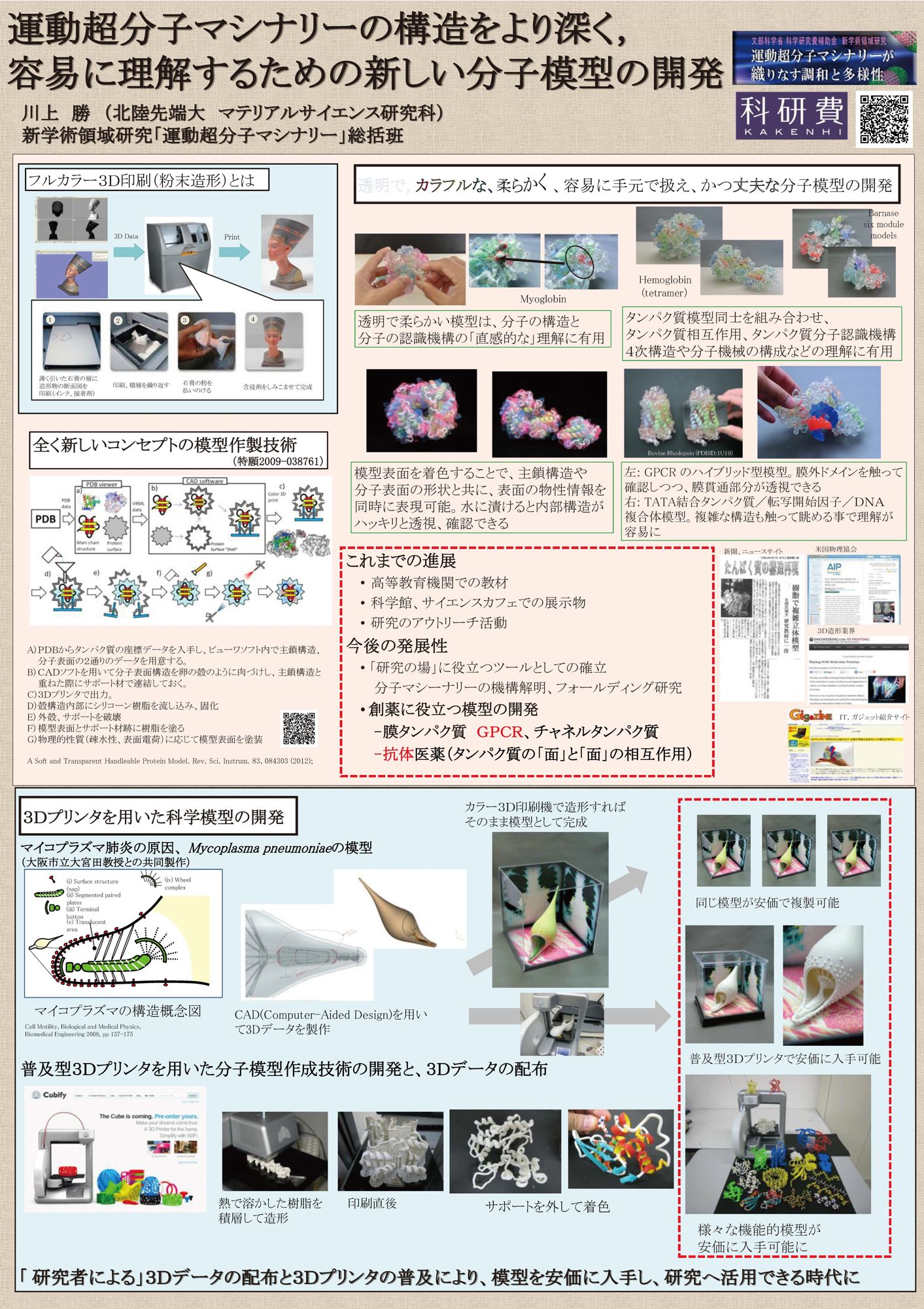 生体構造の立体模型